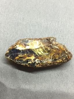 Indonesian Bunyu Island E. Kalimantan Loose Amber 2.25in Long 1.0 in Wide