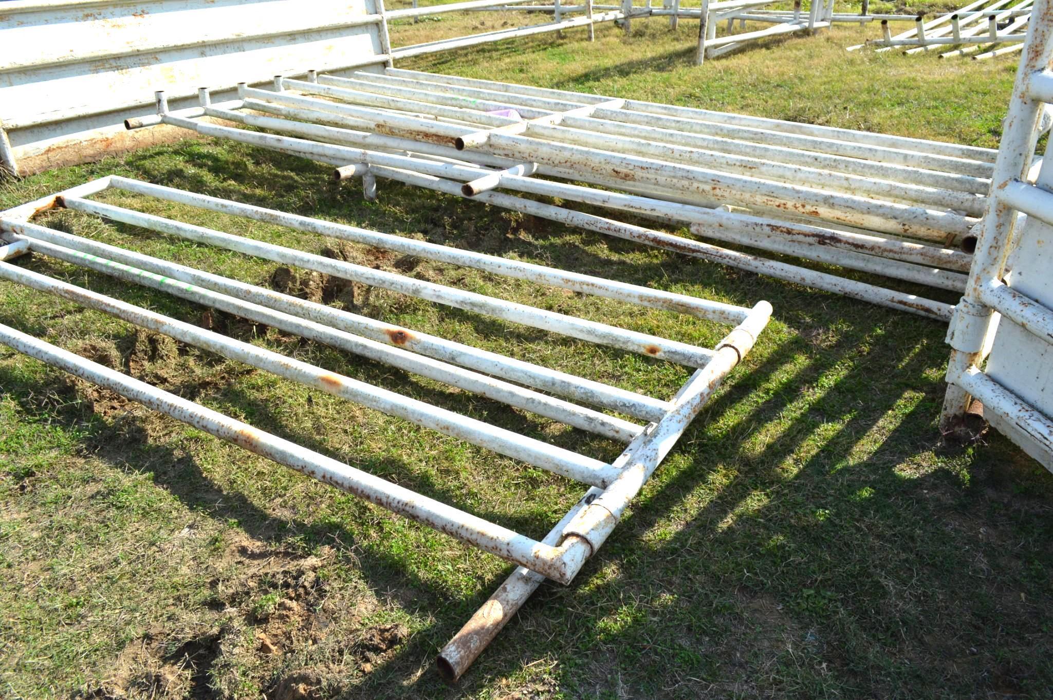 Back Pens for Roping Arena - Includes Calf Chute, Steer Chute, Boxes etc.