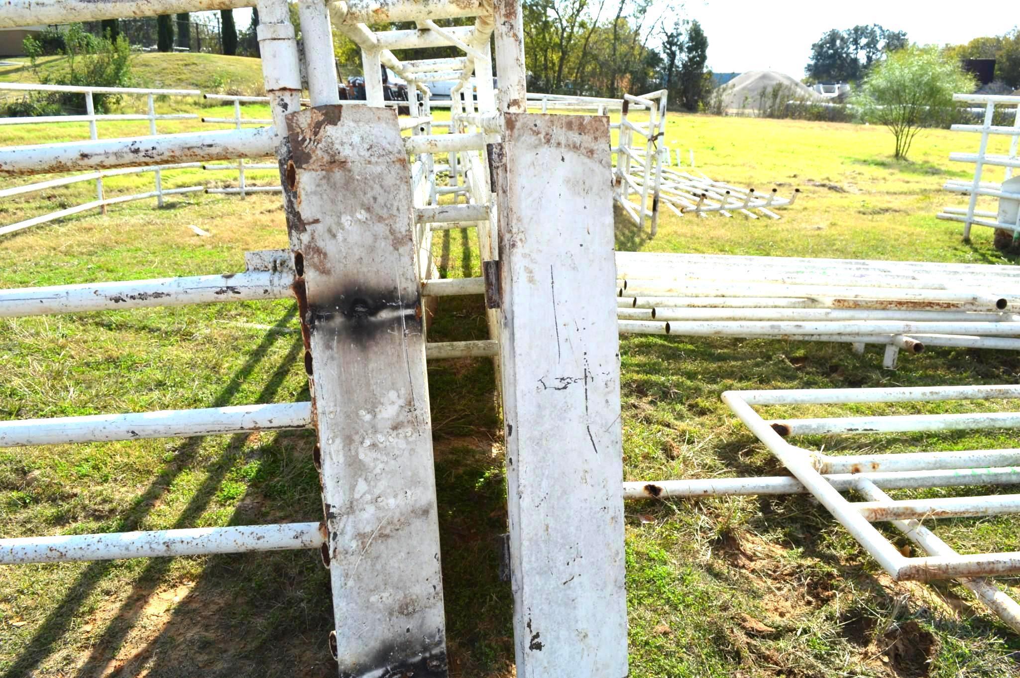 Back Pens for Roping Arena - Includes Calf Chute, Steer Chute, Boxes etc.