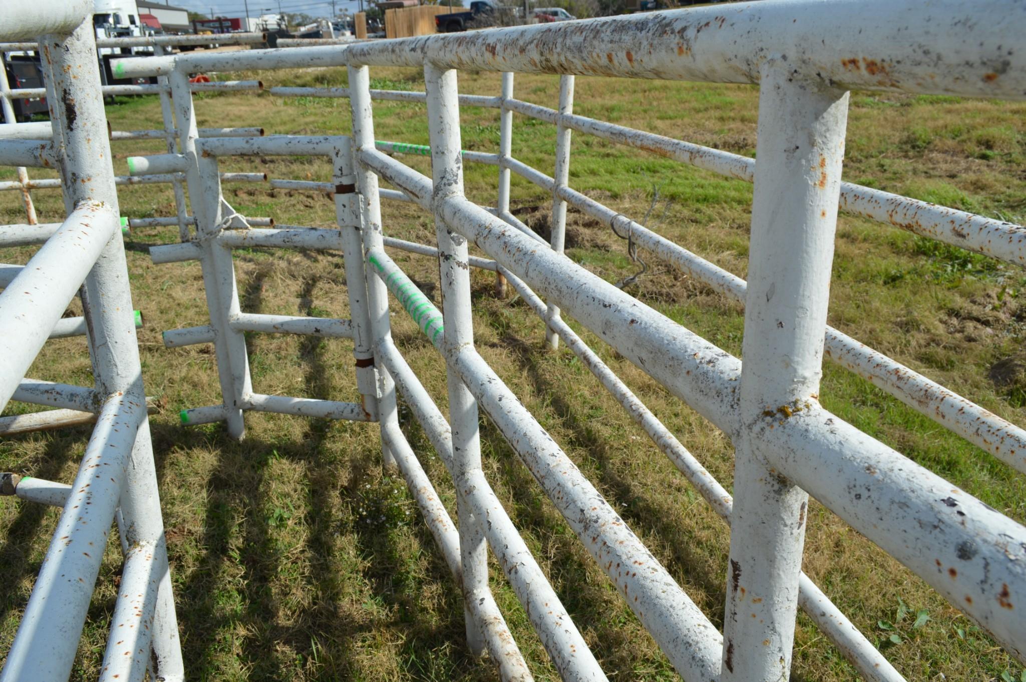 Back Pens for Roping Arena - Includes Calf Chute, Steer Chute, Boxes etc.