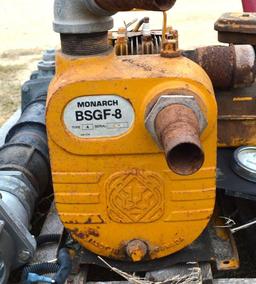 Set of 2 Water Pumps - Monarch BSGF-8 & Hale HP200
