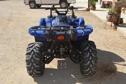 Yamaha Grizzly 700