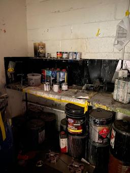 Contents of Paint Storage