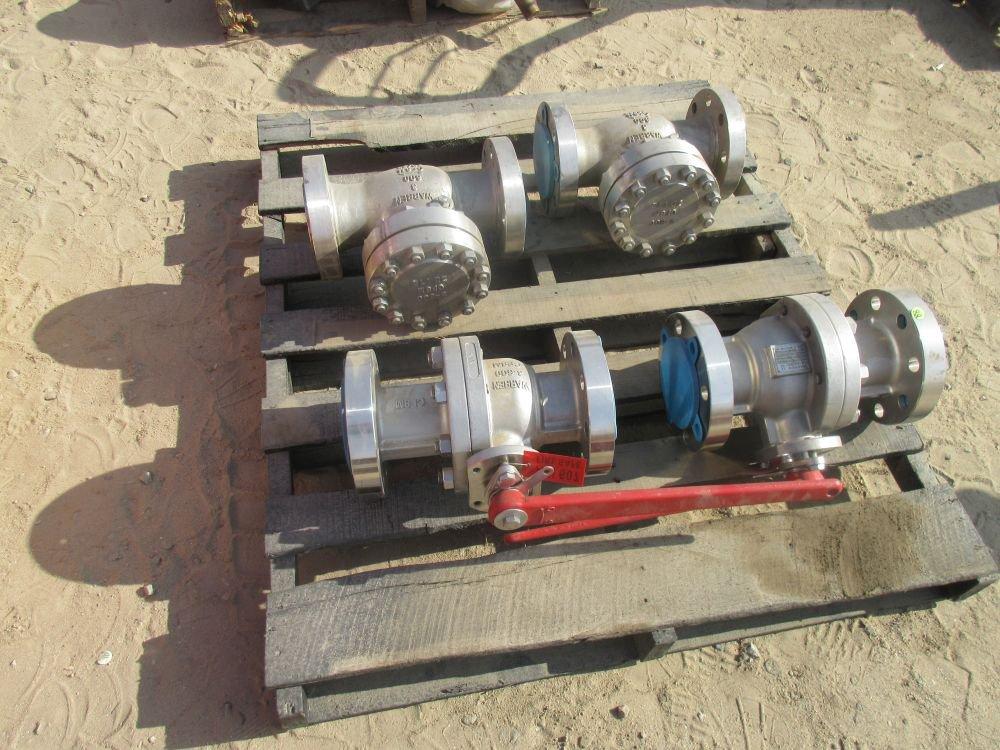 (2) Check Valves, (2) Ball Valves