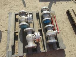 (2) Check Valves, (2) Ball Valves