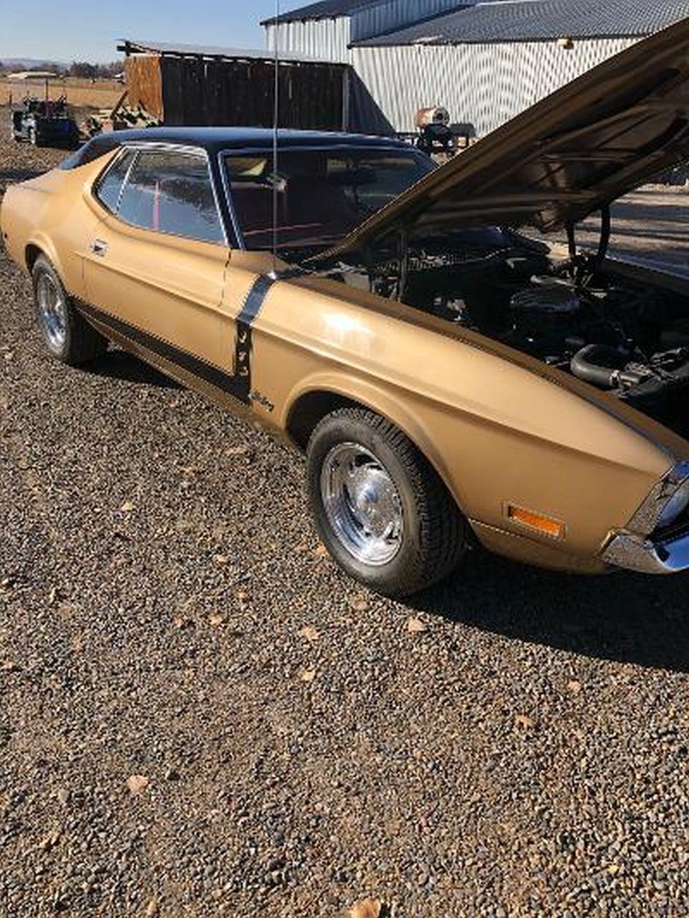 1971 Ford Mustang Coup- FOB from Fruita, CO Western Slope. Part of Grand Junction CO