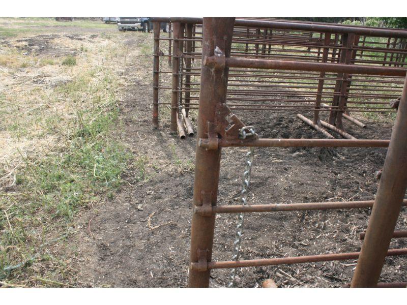 5 - 24’ Freestanding Well Pipe Livestock Panels