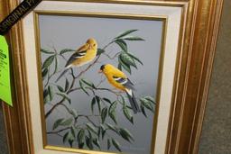 Mark Anderson Original - Yellow Finch