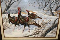 Mark Anderson Original - Wild Turkey