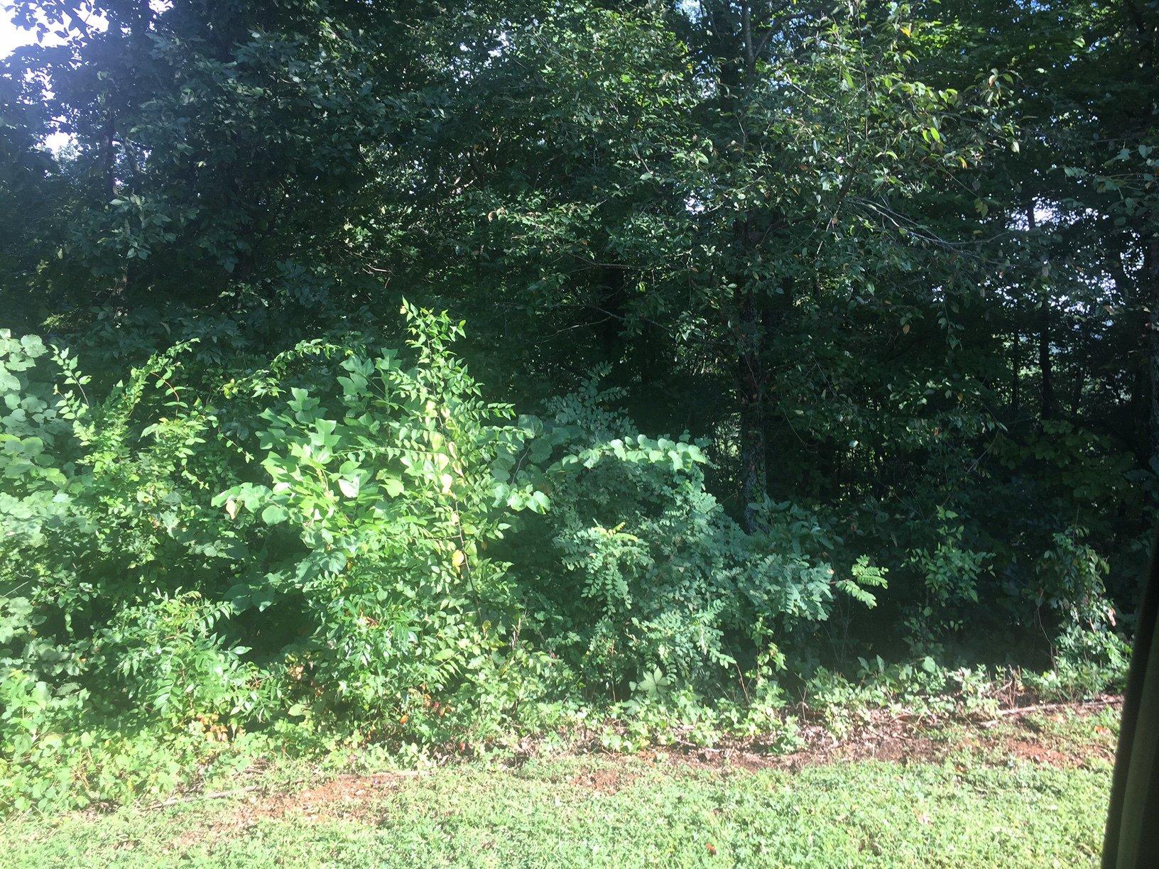 (7.34±ac) Hiwassee Rd (Hiwassee Ridge | Lot 2)