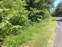 430 Igoti Ln (.32± ac)(Tellico Village: Mialaquo Point | Lot 24)