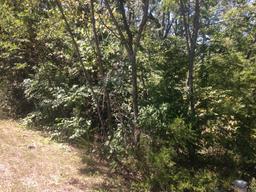 430 Igoti Ln (.32± ac)(Tellico Village: Mialaquo Point | Lot 24)