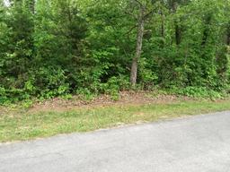 1415 Tomahawk Trl, Vonore, TN (Tellico Harbor | Lot 109)