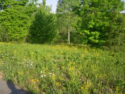 Powder Mill Dr, Tellico Plains, TN (Powder Mill Point | Lot 8)