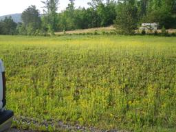 Powder Mill Dr, Tellico Plains, TN (Powder Mill Point | Lot 17)