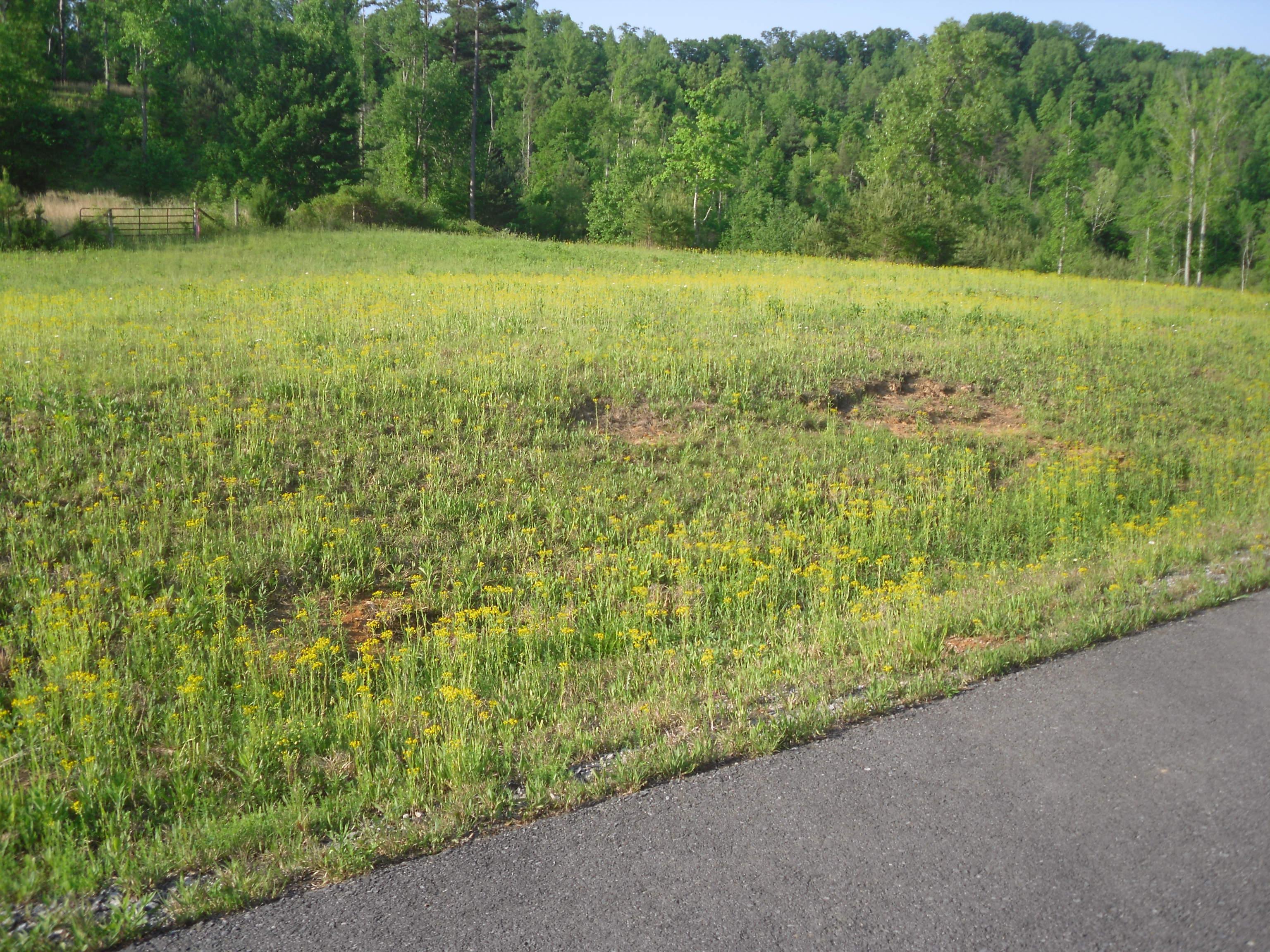 Powder Mill Dr, Tellico Plains, TN (Powder Mill Point | Lot 17)