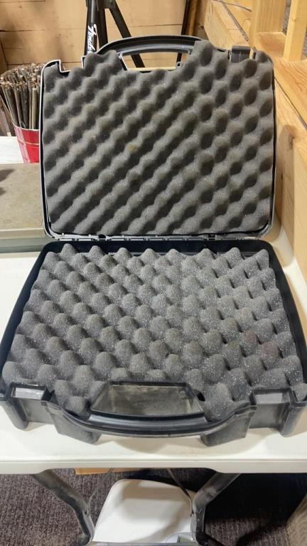 Padded pistol case