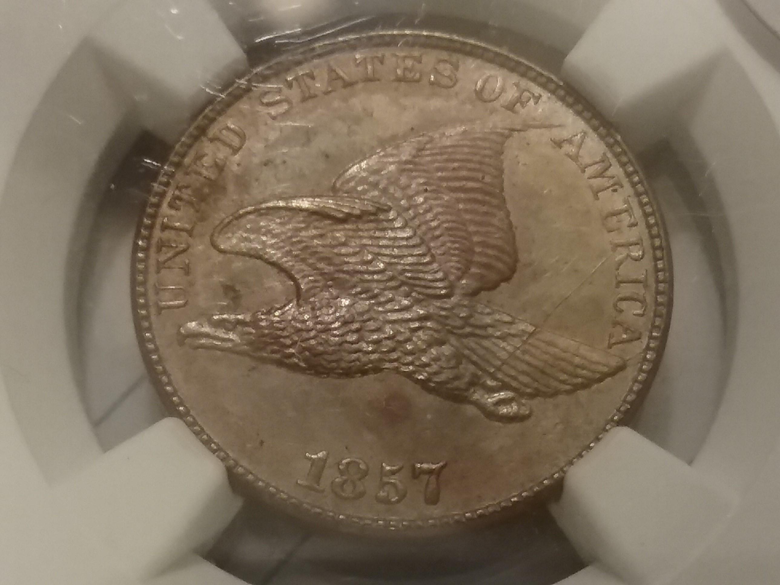 NGC 1857 Flying Eagle Cent Uncirculated-details