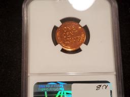 NGC 1942 Wheat Cent Proof 63 RED