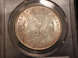 NGC 1884-O Morgan Dollar in MS-63