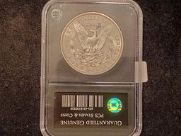 Slabbed Better Date 1903 Morgan Dollar