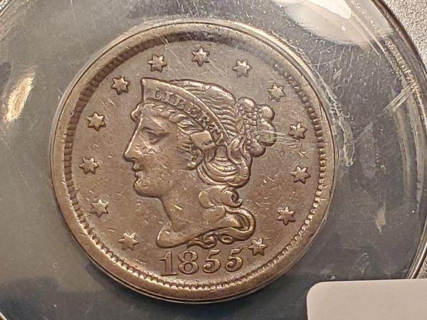 ANACS 1855 Braided Hair Large Cent N-9 Knob on Ear in XF