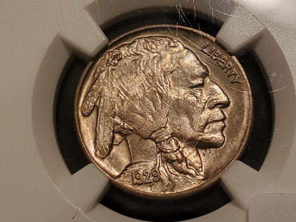 NGC 1929 Buffalo Nickel in MS-62