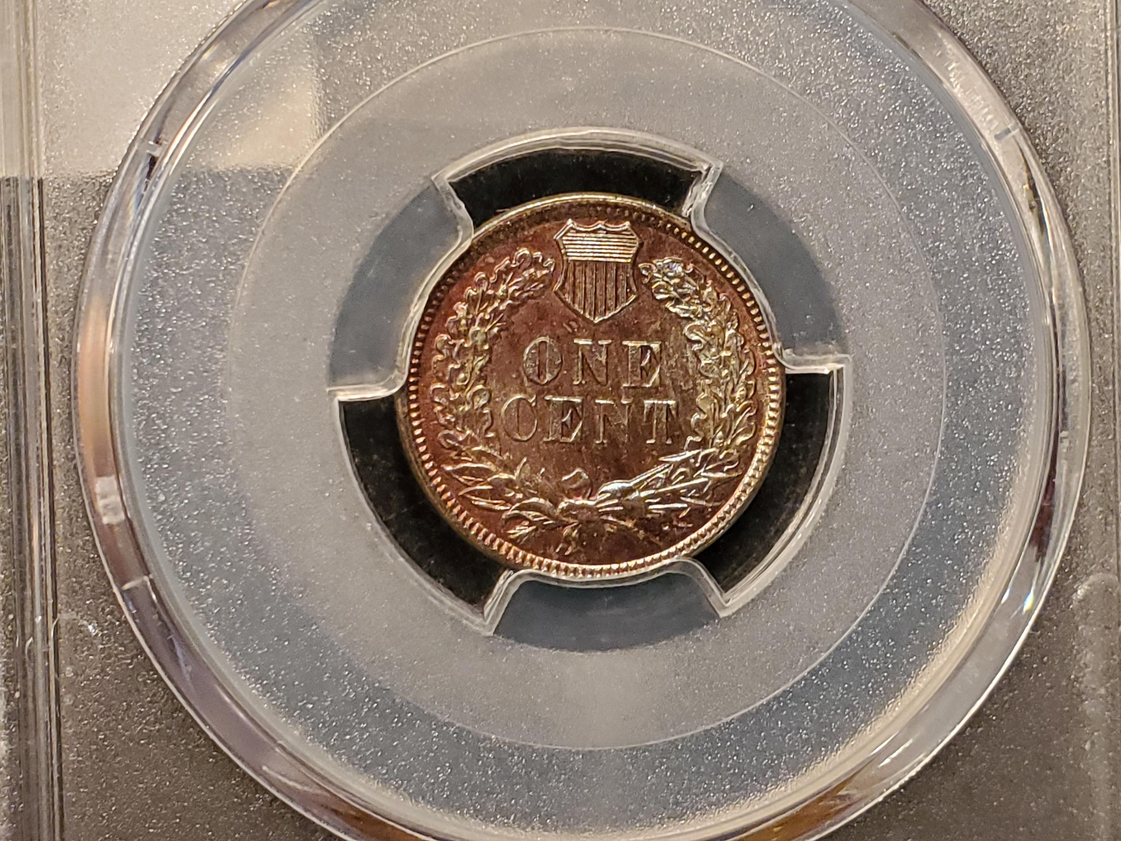 PCGS 1879 Indian Cent Mint State 64