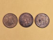 Three Uncirculated Indian Cents