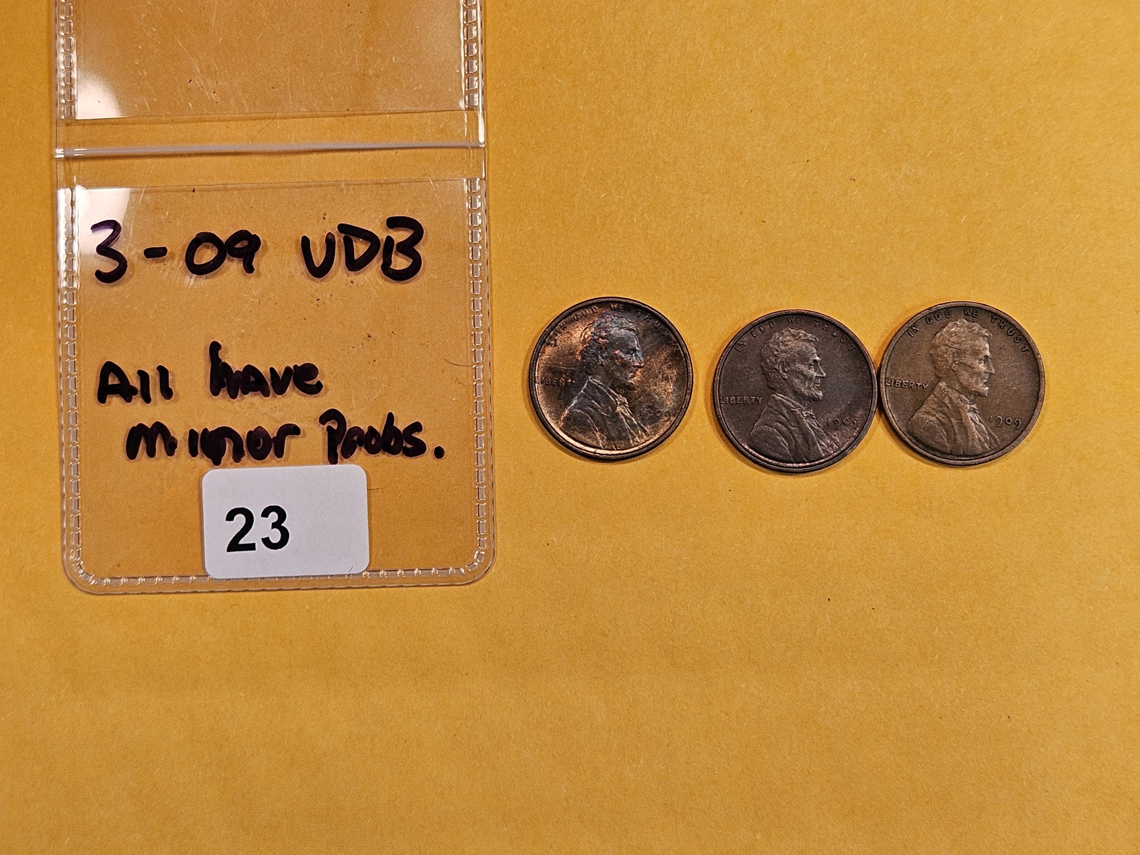 Three 1909 VDB Wheat cents