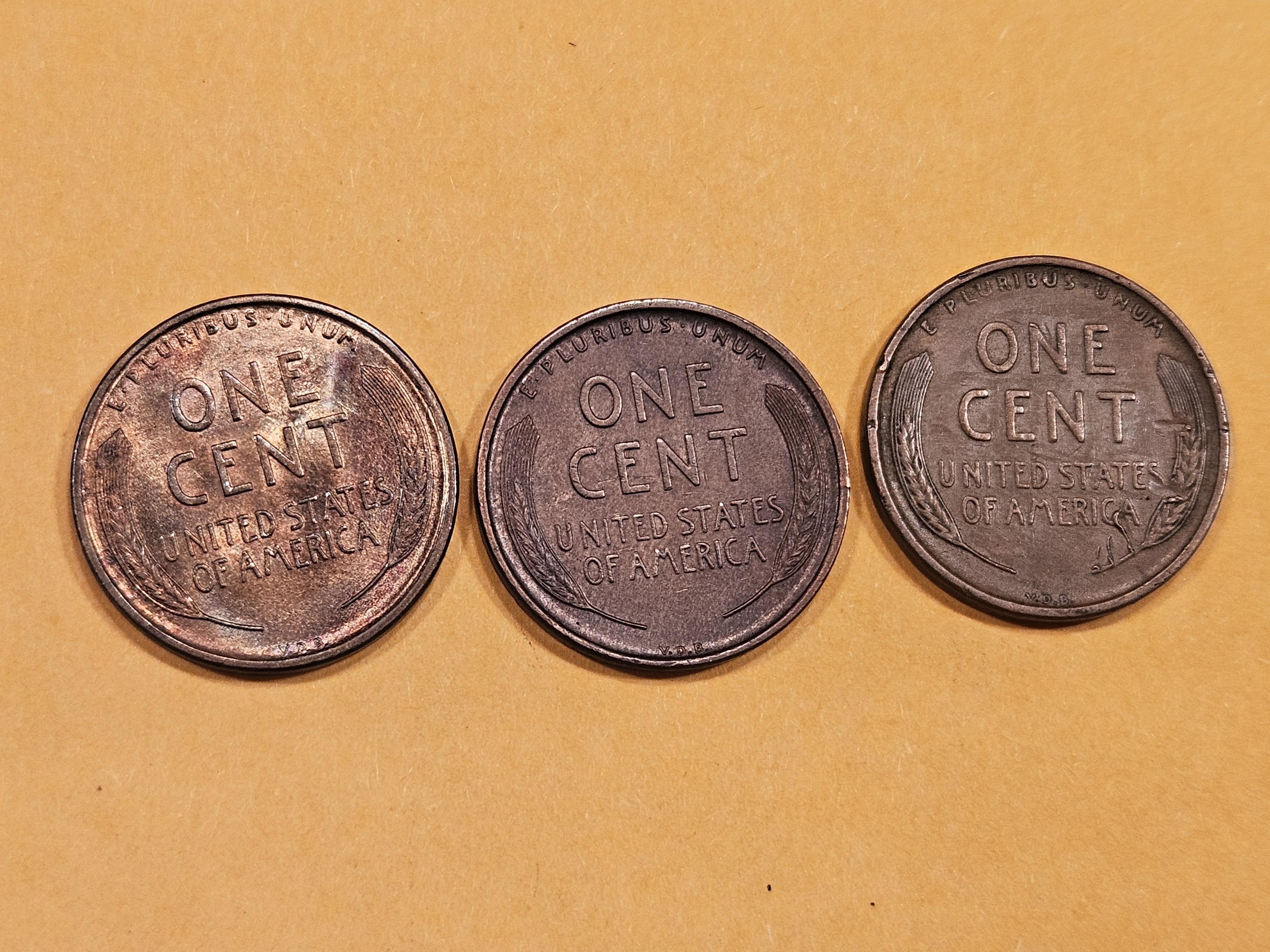 Three 1909 VDB Wheat cents