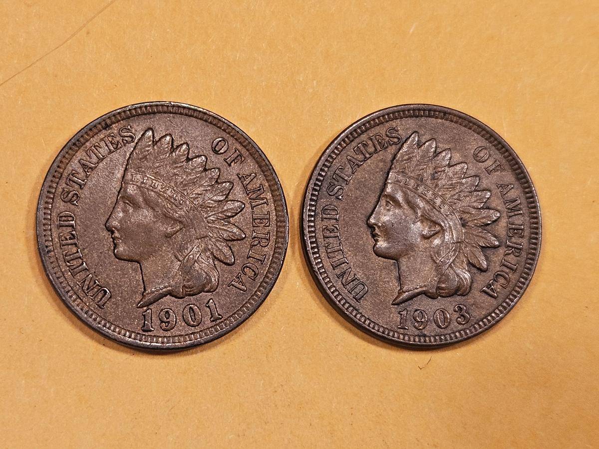 Two nice Uncirculated Indian Cents