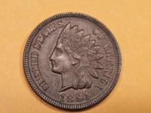About Uncirculated plus 1891 Indian Cent