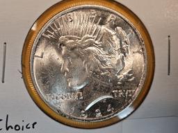 Choice Brilliant Uncirculated Plus 1924 Peace Dollar