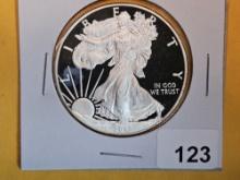 GEM Proof Deep Cameo 2013-W American Silver Eagle