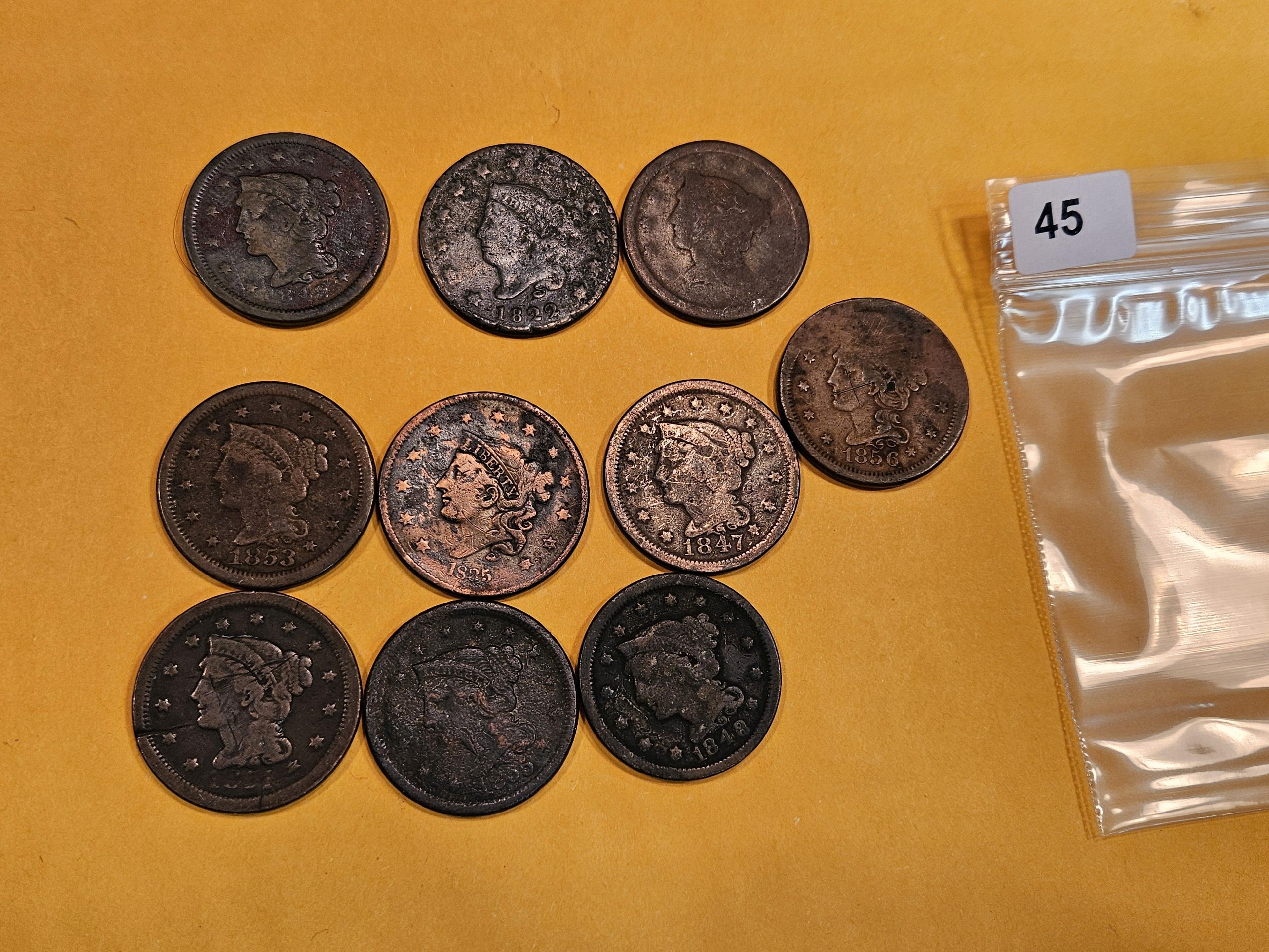 Ten mixed Large Cents