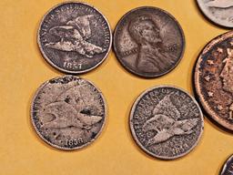 Eleven mixed copper cents