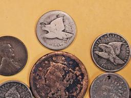 Eleven mixed copper cents