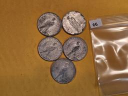 Five mixed Peace Silver Dollars