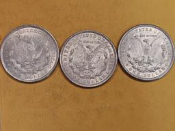 1921 P-D-S Morgan Dollars