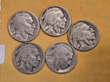 Five Better Date Buffalo Nickels
