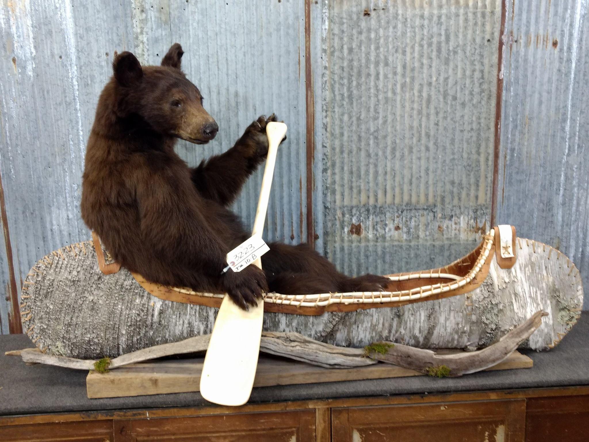 Full Body Mount Juvenile Black Bear In Native American Crafted Birch Bark Canoe