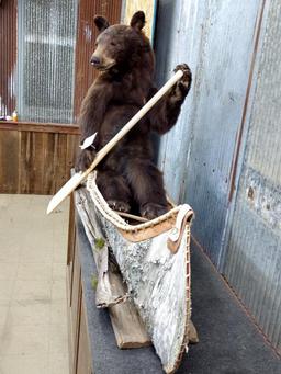 Full Body Mount Juvenile Black Bear In Native American Crafted Birch Bark Canoe