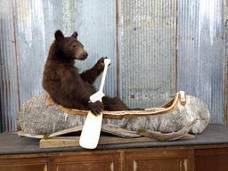 Full Body Mount Juvenile Black Bear In Native American Crafted Birch Bark Canoe