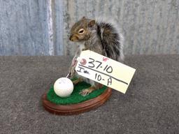 Golfing Squirrel New Mount 8" tall