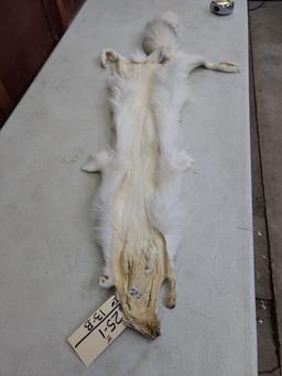 Ranch Red Marble Fox Soft Tanned Pelt 50" long 