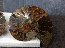 Beautiful Split & Polished Ammonite Fossil With Lots Of Crystallization Both Pieces For One Money 