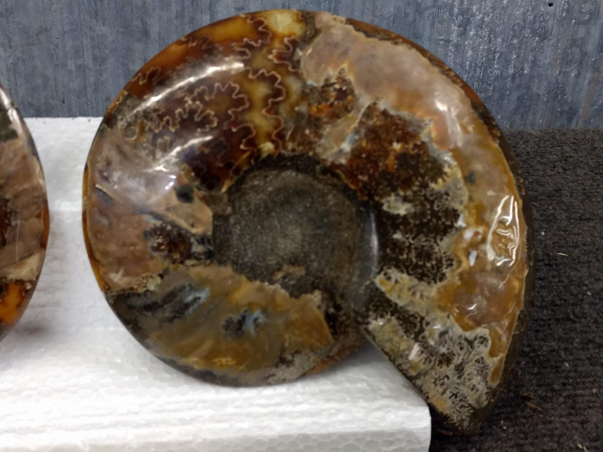 Beautiful Split & Polished Ammonite Fossil With Lots Of Crystallization Both Pieces For One Money 