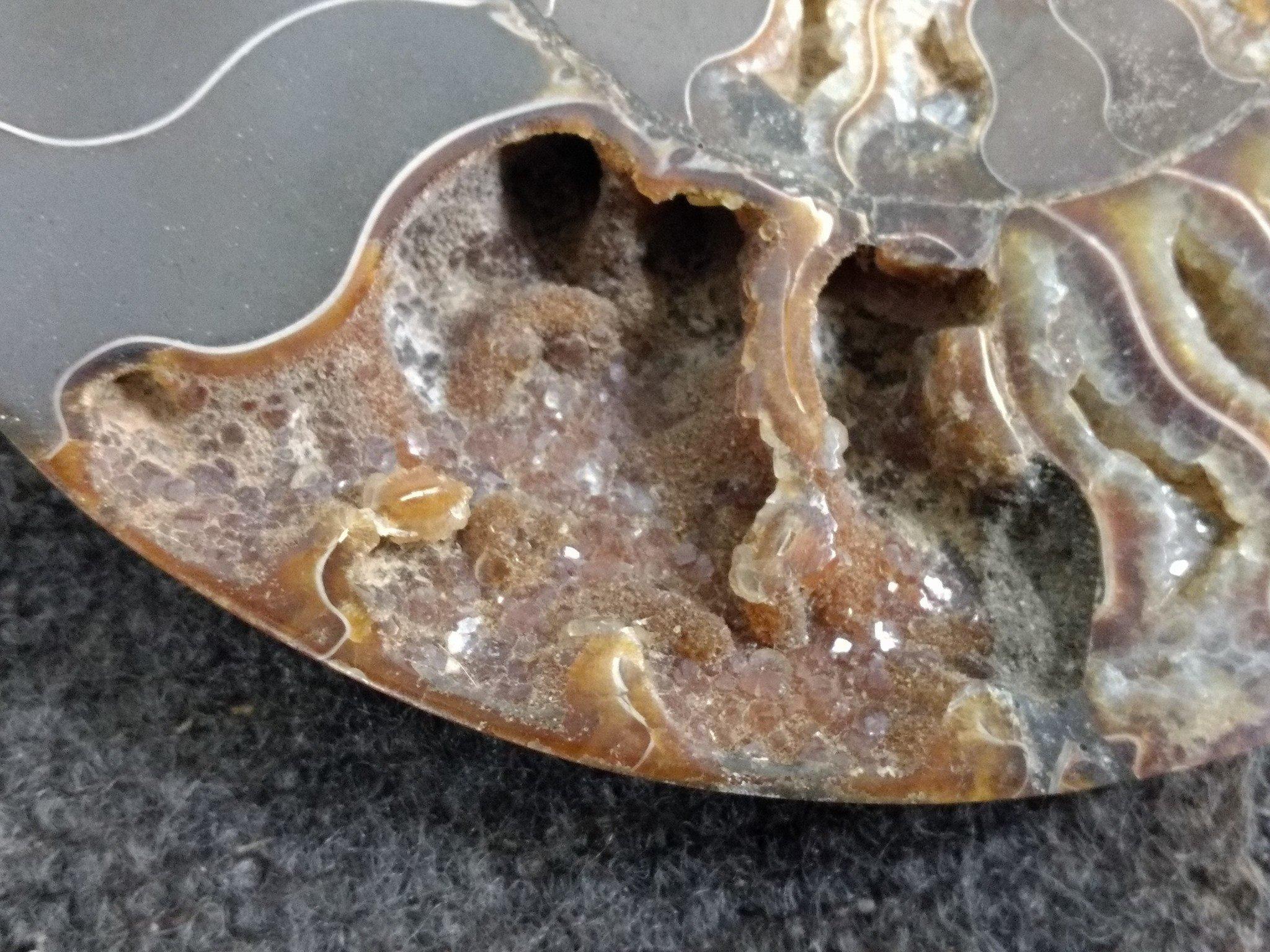 Beautiful Split & Polished Ammonite Fossil With Lots Of Crystallization Both Pieces For One Money 