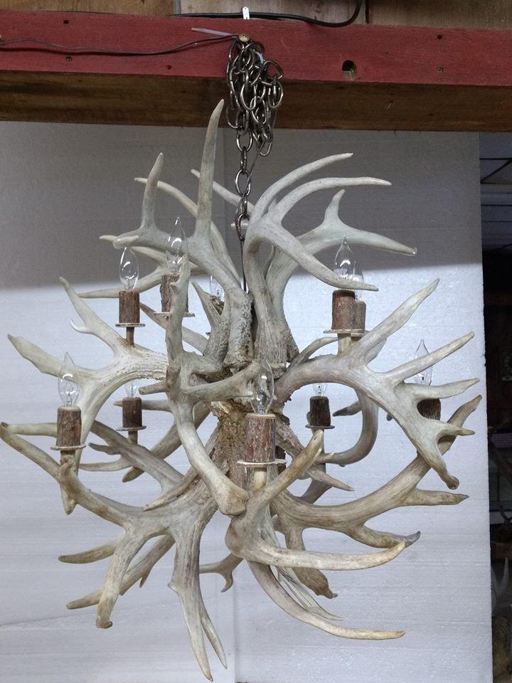 Beautiful Whitetail Antler Chandelier Brand New Piece